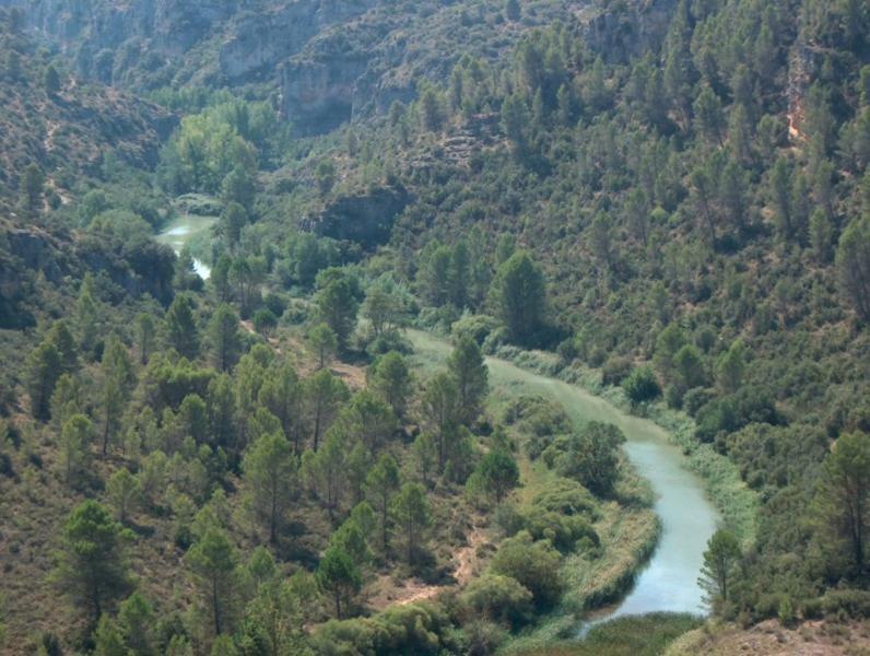 Casa Rural Parajes Del Jucar Casas de Benítez Exteriör bild