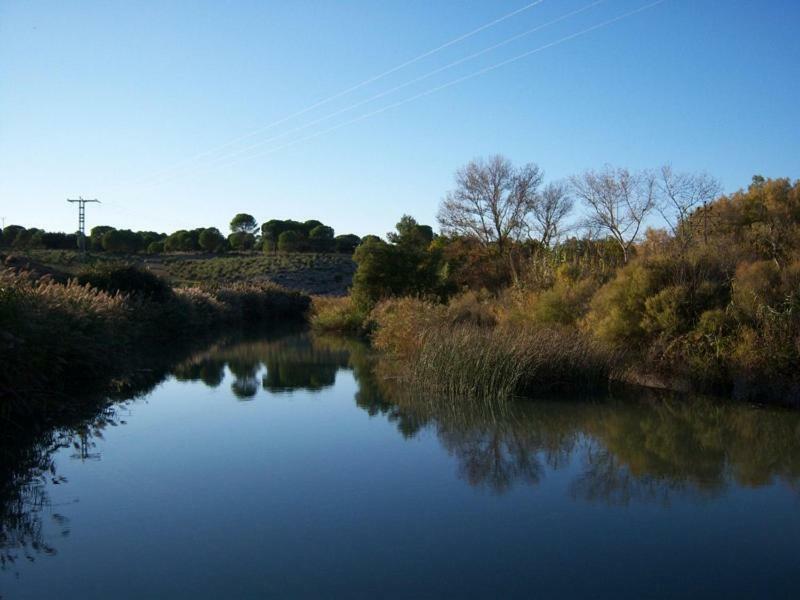 Casa Rural Parajes Del Jucar Casas de Benítez Exteriör bild